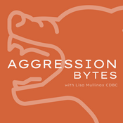 Podcast Aggression Bytes