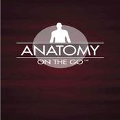 Podcast Anatomy On The Go