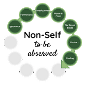Podcast Retreat Talks at Dhamma Sukha Meditation Center