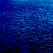 Podcast Biota's Artificial Life Podcast