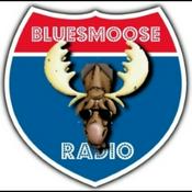 Podcast Blues Moose Radio (Blues music)