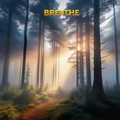 Podcast Breathe by PanchPrana