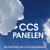 Podcast CCS Panelen