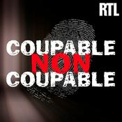 Podcast Coupable non coupable
