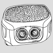 Podcast D'ENT