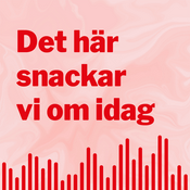 Podcast Det här snackar vi om idag