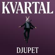 Podcast Djupet