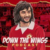 Podcast DOWN THE WINGS PODCAST