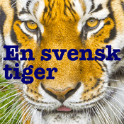 Podcast En Svensk Tiger: En podcast om modernhistoria.