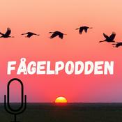 Podcast Fågelpodden