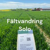 Podcast Fältvandring Solo - Sorter från Lantmännen
