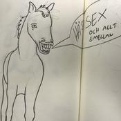 Podcast Hästsex och allt däremellan