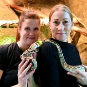 Podcast Husdjurspodden