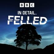Podcast In Detail...