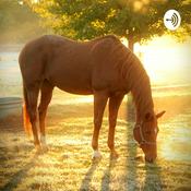 Podcast Introduction