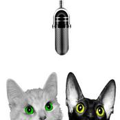 Podcast Kattsnackspodden