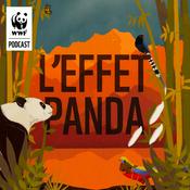 Podcast L'Effet Panda