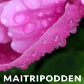 Podcast Maitripodden – Viryabodhi