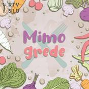 Podcast Mimo grede