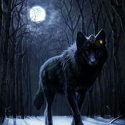 Podcast My turn to shine so get of the stage