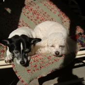 Podcast Nana's Knitting Podcast