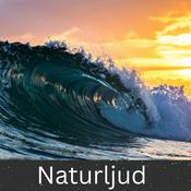 Podcast Naturljud (Nature Sounds)