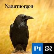 Podcast Naturmorgon