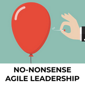 Podcast No Nonsense Agile Leadership