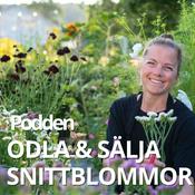 Podcast ODLA OCH SÄLJA SNITTBLOMMOR - PODDEN