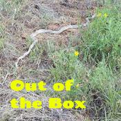 Podcast Out of the Box - UnConventional Thinking