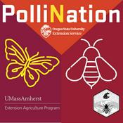 Podcast PolliNation Podcast