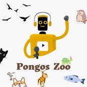 Podcast Pongos zoo