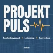 Podcast Projektpuls