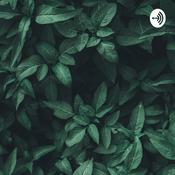 Podcast Rap