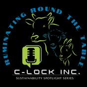 Podcast Ruminating Round The Table