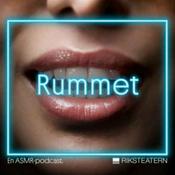Podcast Rummet