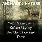 Podcast San Francisco Calamity by Earthquake and Fire