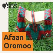 Podcast SBS Afaan Oromoo