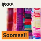 Podcast SBS Somali - SBS Afsomali