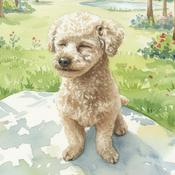 Podcast 生而為人