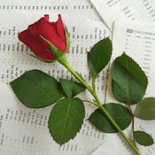 Podcast "Sin Palabras" (Poema)