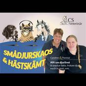 Podcast Smådjurskaos & Hästskämt