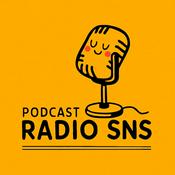 Podcast SnS Associates: Crafting Inspiring Interiors Since 1995