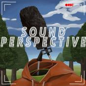 Podcast Sound Perspective