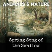Podcast Spring Song of the Swallow