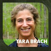 Podcast Tara Brach