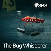 Podcast The Bug Whisperer - The Bug Whisperer