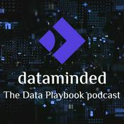 Podcast The Data Playbook Podcast