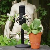 Podcast The Garden History Podcast
