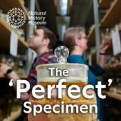 Podcast The 'Perfect' Specimen